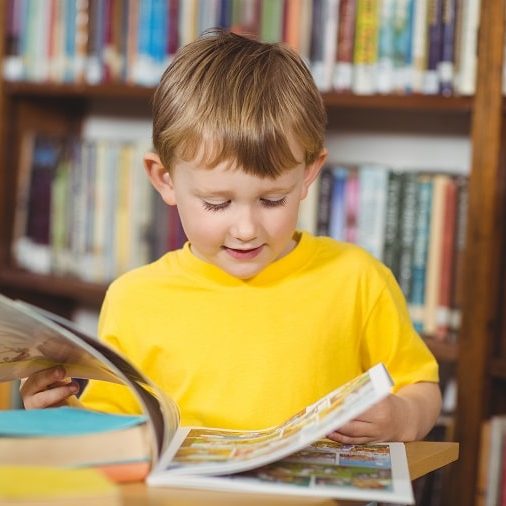 what is EYLF - little boy reading a book
